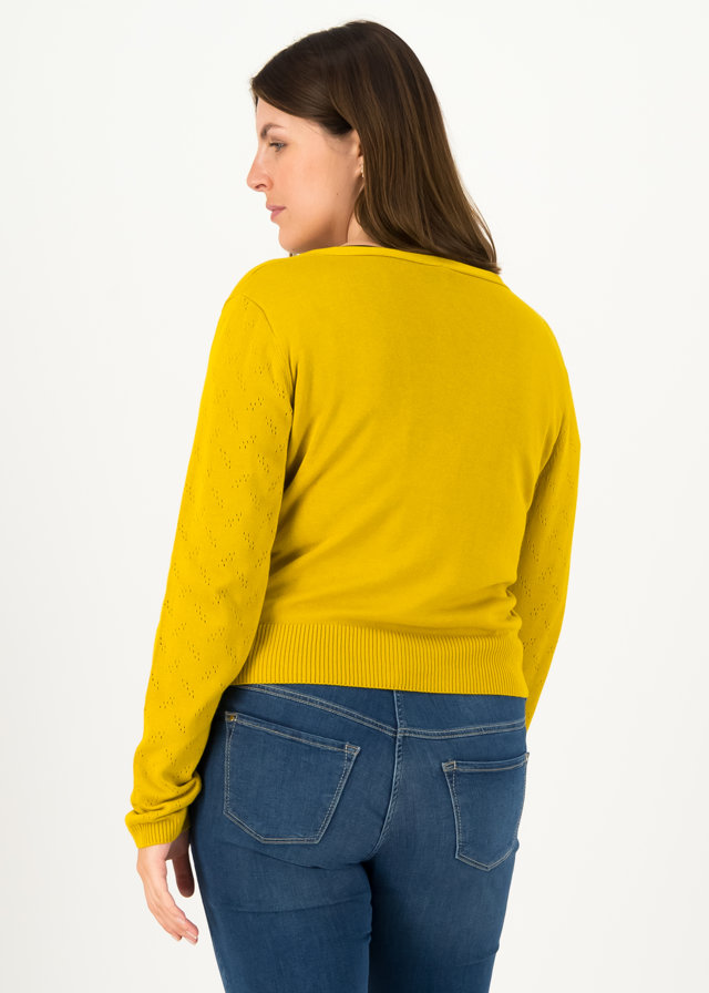 _640_blutsgeschwister_pretty_petite_cardy_yellow_grape_pullover_leichte_jacken_gelb_62564_222001 Blutsgeschwister Cardigan, pretty petite, gelb, senf, mustard, v-ausschnitt, jäckchen